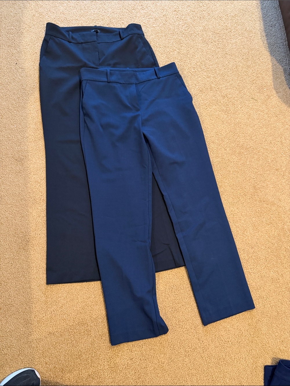 Ann Taylor Factory Navy and Dark Blue Straight-Leg Dress Pants Duo